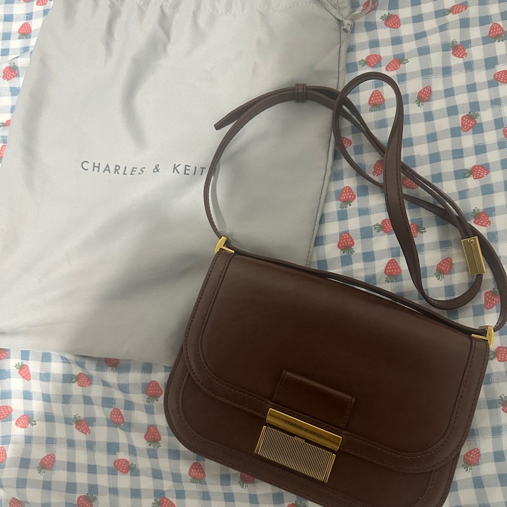 Charles & Keith Dark Brown Crossbody Bag